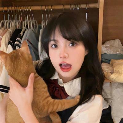容易受伤的玫瑰